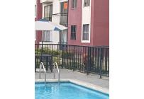 Apartamentos, Venta, Palmira - $250.000.000