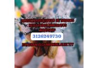 EL CHAMAN DE LA LUZ777 - Nueva Era