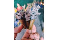 EL CHAMAN DE LA LUZ777 - Nueva Era