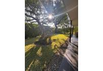 Casas, Alquiler, Pance - $11.000.000