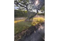 Casas, Alquiler, Pance - $11.000.000