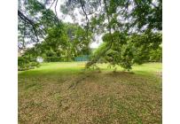Lotes, Venta, Palmira - $300.000.000