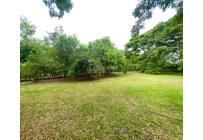 Lotes, Venta, Palmira - $300.000.000