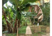 Fincas y Casas Campestres, Venta, La Cumbre - $320.000.000
