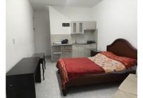 Apartaestudios, Alquiler, Champagñat - $700.000