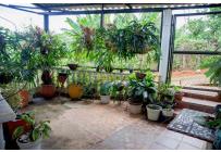 Fincas y Casas Campestres, Venta, Dagua - $450.000.000