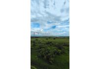 Apartamentos, Alquiler, Ciudad Pacifica - $1.600.000