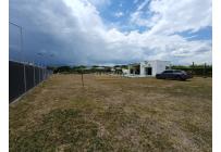 Lotes, Venta, Palmira - $590.000.000