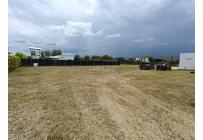 Lotes, Venta, Palmira - $590.000.000