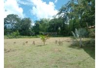 Lotes, Venta, Pereira - $980.000.000