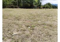 Lotes, Venta, Pereira - $980.000.000