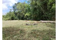 Lotes, Venta, Pereira - $980.000.000
