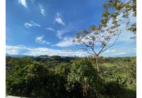 Apartamentos, Venta, Ciudad Jardín - $590.000.000