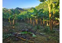 Lotes, Venta, Pereira - $170.000.000