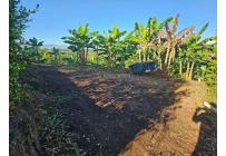Lotes, Venta, Pereira - $170.000.000