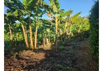 Lotes, Venta, Pereira - $170.000.000