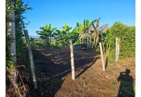 Lotes, Venta, Pereira - $170.000.000