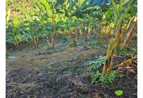 Lotes, Venta, Pereira - $170.000.000