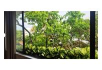 Apartamentos, Venta, Multicentro - $530.000.000