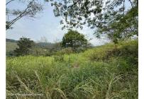 Lotes, Venta, Anapoima - $290.000.000