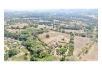 Lotes, Venta, Carmen de Apicala - $170.000.000