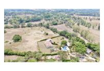 Lotes, Venta, Carmen de Apicala - $170.000.000