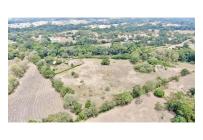 Lotes, Venta, Carmen de Apicala - $170.000.000