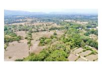 Lotes, Venta, Carmen de Apicala - $170.000.000