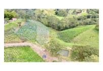 Lotes, Venta, Quipile - $200.000.000