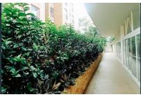 Apartamentos, Venta, Aguacatal - $765.000.000