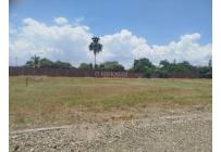 Lotes, Venta, Palmira - $300.000.000