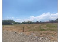 Lotes, Venta, Palmira - $300.000.000