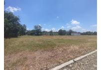 Lotes, Venta, Palmira - $300.000.000