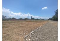 Lotes, Venta, Palmira - $300.000.000