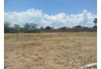 Lotes, Venta, Palmira - $300.000.000