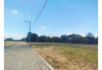 Lotes, Venta, Palmira - $300.000.000