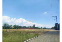 Lotes, Venta, Palmira - $300.000.000