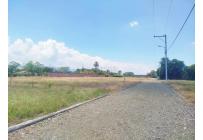 Lotes, Venta, Palmira - $300.000.000