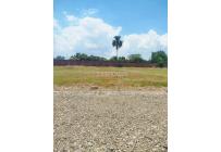 Lotes, Venta, Palmira - $300.000.000