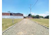 Lotes, Venta, Palmira - $300.000.000