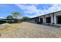 Lotes, Venta, Palmira - $950.000.000