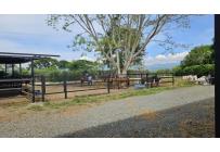 Lotes, Venta, Palmira - $950.000.000