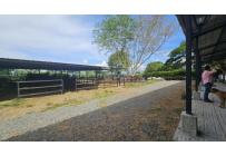 Lotes, Venta, Palmira - $950.000.000