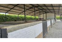 Lotes, Venta, Palmira - $950.000.000