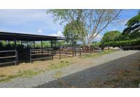 Lotes, Venta, Palmira - $950.000.000