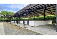 Lotes, Venta, Palmira - $950.000.000