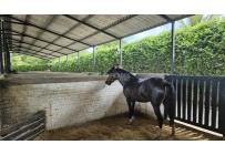 Lotes, Venta, Palmira - $950.000.000