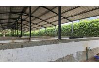 Lotes, Venta, Palmira - $950.000.000