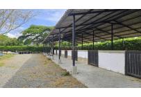 Lotes, Venta, Palmira - $950.000.000