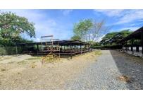 Lotes, Venta, Palmira - $950.000.000